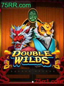 Explorando o Mundo de DoubleWilds: Um Guia Completo